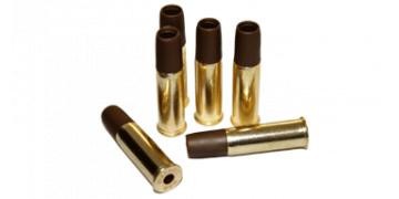 Cartus ASG Dan Wesson foto