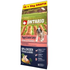 ONTARIO Puppy &amp;amp;amp; Junior Large - chicken &amp;amp;amp; potatoes 15+5kg GRATIS foto