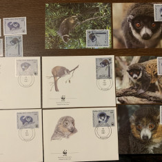 comore - serie 4 timbre MNH, 4 FDC, 4 maxime, fauna wwf