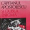 Capitanul Apostolescu si dubla enigma - Horia Tecuceanu