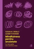 Mindfulness pentru anxietate. Nu lasa grijile sa-ti domine viata/Susan M. Orsillo, Lizabeth Roemer, Curtea Veche Publishing