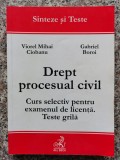 Cumpara ieftin Drept Procesual Civil Curs Selectiv Pentru Examenul De Licent - Viorel Mihai Ciobanu Gabriel Boroi , B586, All Beck