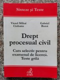 Drept Procesual Civil Curs Selectiv Pentru Examenul De Licent - Viorel Mihai Ciobanu Gabriel Boroi ,553883, All Beck