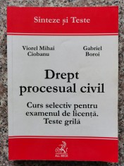 Drept Procesual Civil Curs Selectiv Pentru Examenul De Licent - Viorel Mihai Ciobanu Gabriel Boroi , B586