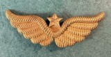 Semn de arma coifura aviatie militara Romania