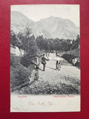 Bușteni &amp;Icirc;mpărțirea postei foto