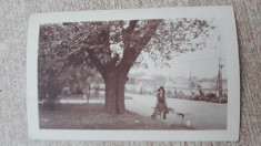 Foto Braila 1930 foto