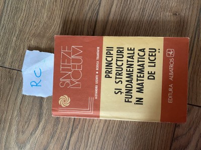 Sinteze Lyceum - Principii si structuri fundamentale in matematica de liceu Rc foto