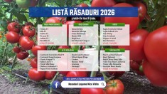 Vand Rasad Rosii Ardei Vinete Castraveti Varza | Rasaduri Legume