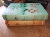 Cumpara ieftin KEN FOLLETT- O LUME FARA SFARSIT *** DOUA VOLUME