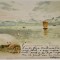 FRIEDRICHSHAFEN O DER BODENSEE , CARTE POSTALA ILUSTRATA , CROMOLITOGRAFIE , CLASICA