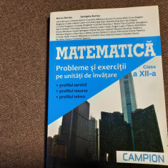 Matematica. Probleme si exercitii pe unitati de invatare. Clasa XII Burtea