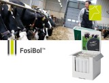 FosiBol - Bolus fosfor pentru vaci