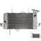 Radiator Yamaha YZF-R 125 (08-11) 4T LC 125cc