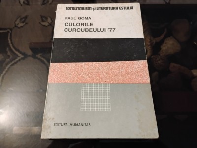 Culorile curcubeului 77 foto