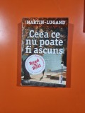 Carte Roman Ceea ce nu poate fi ascuns Agnes Martin-Lugand Editura Trei 2019 367 pagini coperta brosata