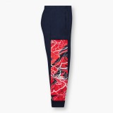 Red Bull Racing pantaloni de trening pentru bărbați Chicane navy F1 Team 2024 - XL, Puma