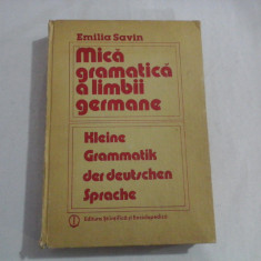 MICA GRAMATICA A LIMBII GERMANE - EMILIA SAVIN