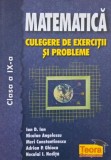 Matematica. Culegere de exercitii si probleme (Clasa a IX-a) - Ion D. Ion