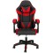 icon 1