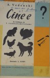 CINE E ? A .VEDENSKI /ILUSTRATII LUDO :CEI DOI FRATI GEMENI SI BALAURUL PIUS BRANZEI