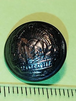 bnk dv Romania - RsR - nasture metalic uniforma - diam 16 mm - argintiu foto