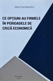 Ce opțiuni au firmele &icirc;n perioadele de criză economică - 2022 - Vera Constantin (M274)