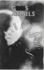 Casetă audio The C.S. Angels &lrm;&ndash; Chasing Shadows , originală, Rock