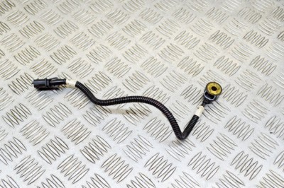 Senzor de detonație motor MASERATI QUATTROPORTE VI 2014 OEM: 0261231223 13572722 foto