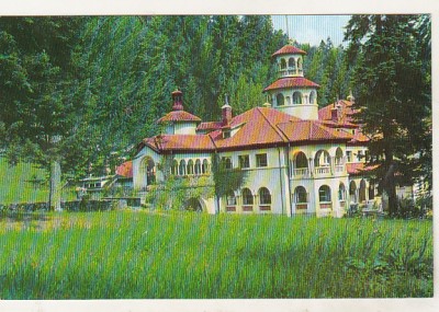 bnk cp Sinaia - Pelisorul - necirculata foto