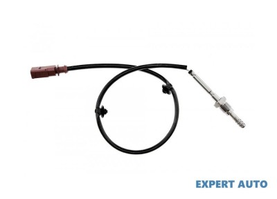 Senzor temperatura gaze dpf Seat Exeo (2008-&amp;gt;)[3R2] #1 foto