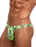 Slipi Eross Snake Print M Multicolor