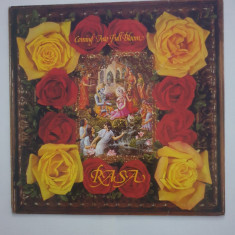 Rasa – Coming Into Full Bloom ( Lotus Eye Records) Suedia 1979 (Vinil)