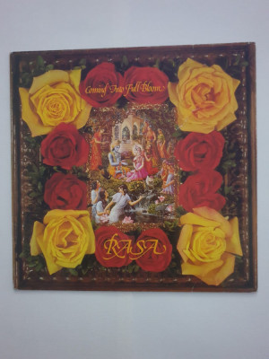 Rasa &amp;ndash; Coming Into Full Bloom ( Lotus Eye Records) Suedia 1979 (Vinil) foto