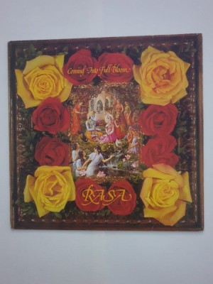 Rasa &amp;ndash; Coming Into Full Bloom ( Lotus Eye Records) Suedia 1979 (Vinil) foto