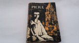 Piciul - Alphonse Daudet R21