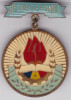 INSIGNA PIONIER DE FRUNTE PIONIERI, Romania de la 1950