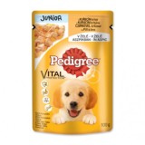 Pedigree Junior, hrana umeda pentru caini, Pui &amp; Orez, 4 x 100 gr