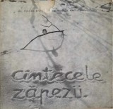 CANTECELE ZAPEZII - O POVESTE DE IARNA DESPRE NOI, PASARELELE UNUI ORAS-MIRCEA BICHICEANU, RODICA RARAU-220676