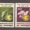 Dahomey 1964 - Anul internațional al soarelui liniștit, MNH
