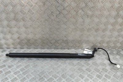Amortizor haion st&amp;acirc;nga TESLA MODEL X 2020 OEM: 1065664-00-B 29796097 foto