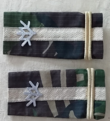 C3 - Grade militare - mozaic padure - maior vanatori de munte foto