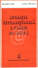 Migratia internationala a fortei de munca foto