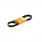 Set curea transmisie cu caneluri Contitech 6PK1180K3