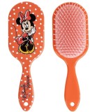 Perie Mare pentru Păr din Carton Minnie