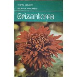 CRIZANTEMA-PROFIRA VIDRASCU, GEORGETA TEODORESCU-90871