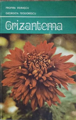 CRIZANTEMA-PROFIRA VIDRASCU, GEORGETA TEODORESCU-90871 foto