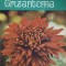 CRIZANTEMA-PROFIRA VIDRASCU, GEORGETA TEODORESCU-90871