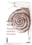 Cumpara ieftin Așteptăm cuminți teroarea - Paperback - Ion Agaci - Nemira