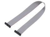 Cablu panglică SAMTEC IDC 279,4mm FFSD-13-D-11.00-01-N cu conectori IDC ambele părți